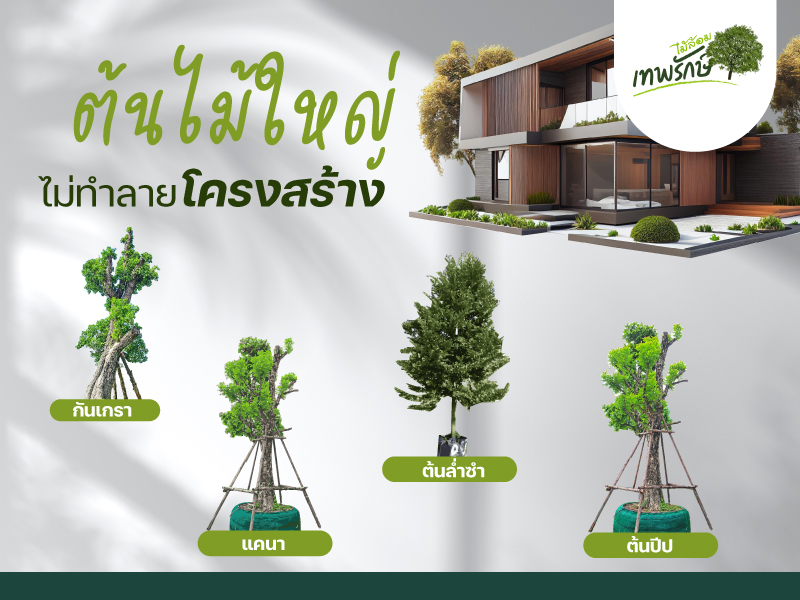 ต้นไม้ประธานเสริมมงคล