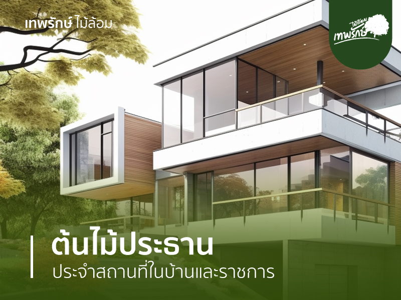 ต้นไม้ประธานประจำสถานที่ในบ้านและราชการ